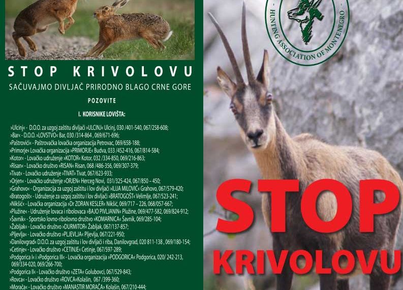 REAGOVANJE NA TEKST ”KRIVOLOVCI UBIJU I DO 197.000 ZAŠTIĆENIH PTICA U CRNOJ GORI