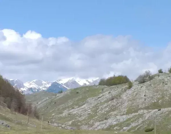 NAJAVA III KOLA KUPA LOVAČKOG SAVEZA CRNE GORE GRAND PRIX PIVA 2025 - CUP BLAŽO TADIĆ
